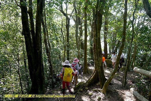 P1880264.jpg P1880264.jpg