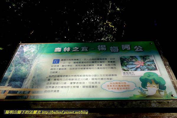 P1880266.jpg P1880266.jpg