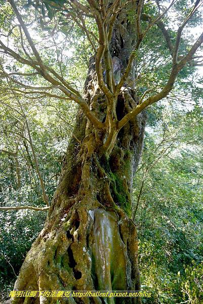 P1880271.jpg P1880271.jpg