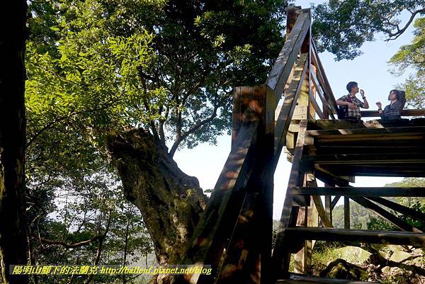 P1880273.jpg P1880273.jpg