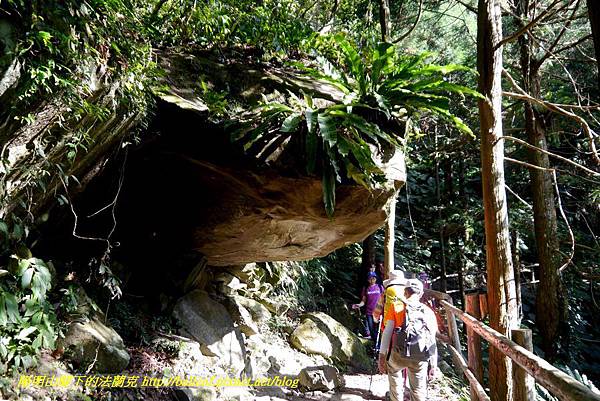 P1880277.jpg P1880277.jpg