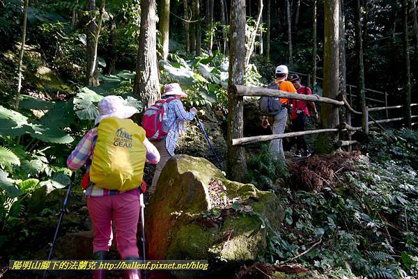 P1880279.jpg P1880279.jpg