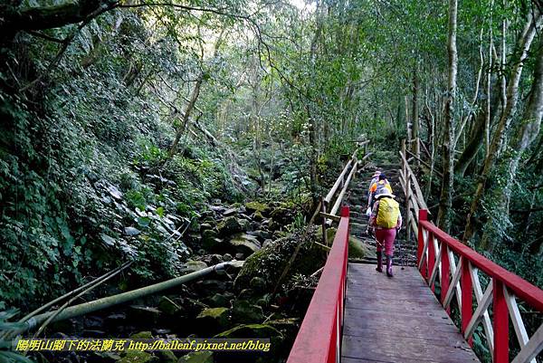 P1880289.jpg P1880289.jpg