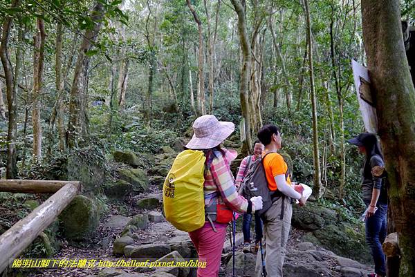 P1880290.jpg P1880290.jpg