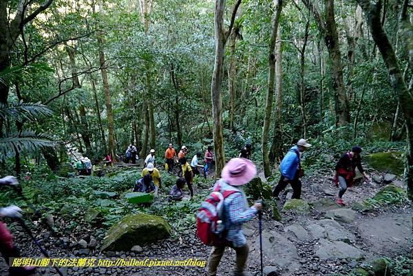 P1880293.jpg P1880293.jpg