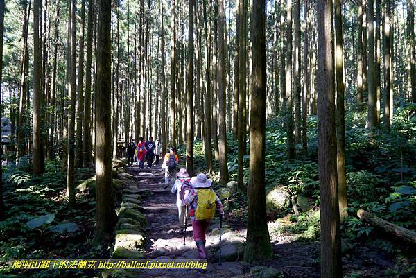 P1880301.jpg P1880301.jpg