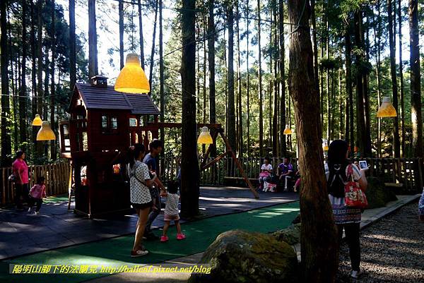 P1880302.jpg P1880302.jpg