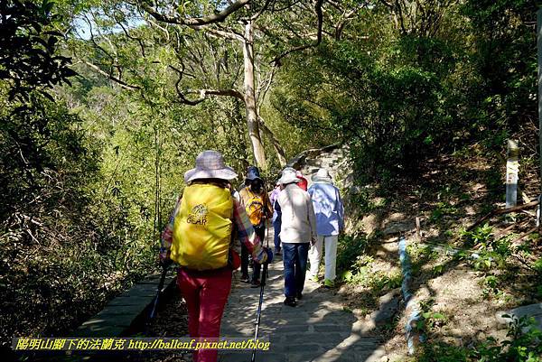 P1880556.jpg P1880556.jpg