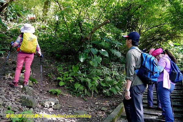 P1880583.jpg P1880583.jpg