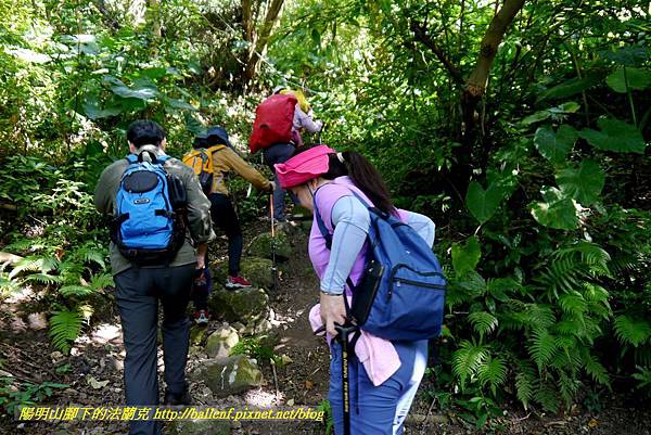 P1880584.jpg P1880584.jpg