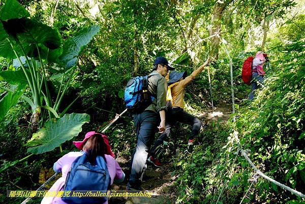 P1880587.jpg P1880587.jpg