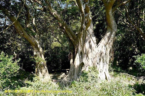 P1880595.jpg P1880595.jpg