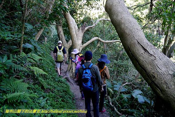 P1880607.jpg P1880607.jpg