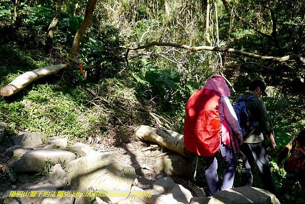 P1880628.jpg P1880628.jpg