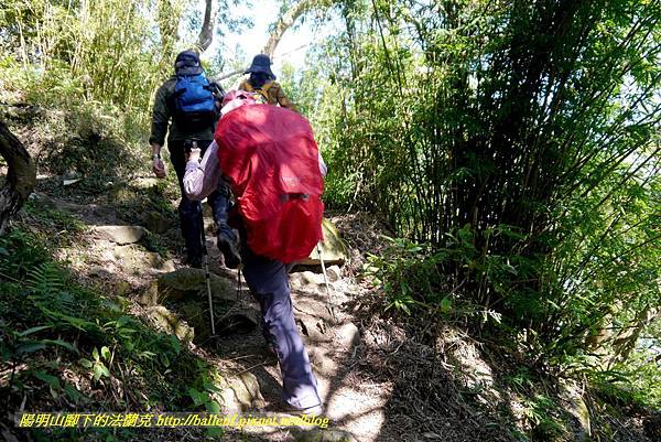 P1880635.jpg P1880635.jpg