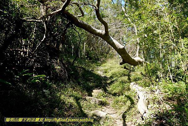 P1880636.jpg P1880636.jpg