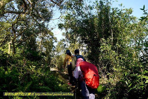 P1880646.jpg P1880646.jpg