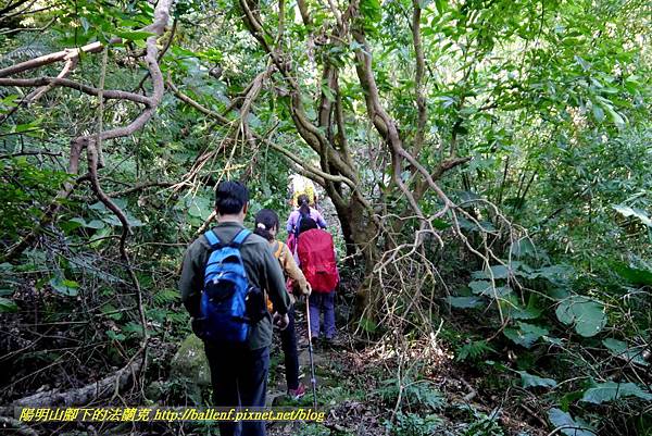 P1880651.jpg P1880651.jpg