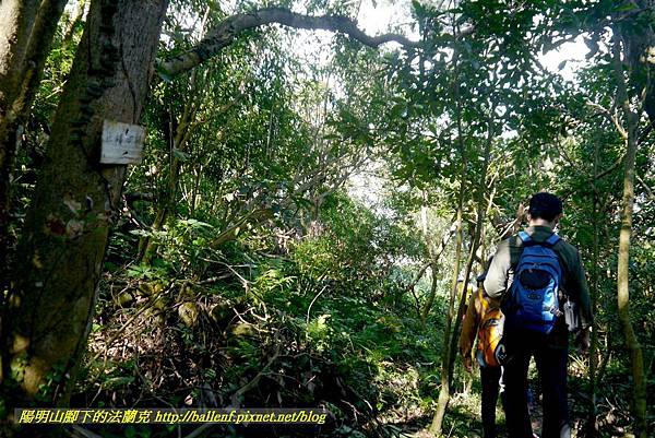 P1880657.jpg P1880657.jpg