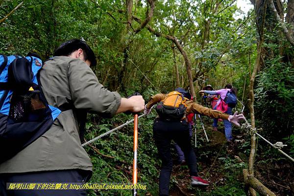 P1880676.jpg P1880676.jpg