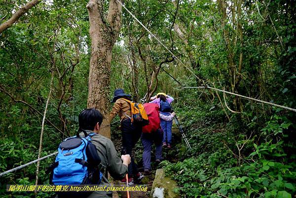 P1880678.jpg P1880678.jpg