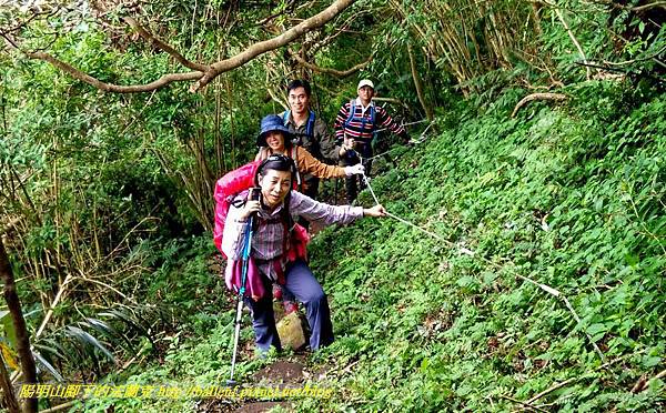 P1880679-1.jpg P1880679-1.jpg