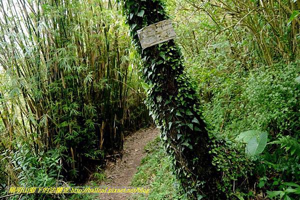 P1880684.jpg P1880684.jpg