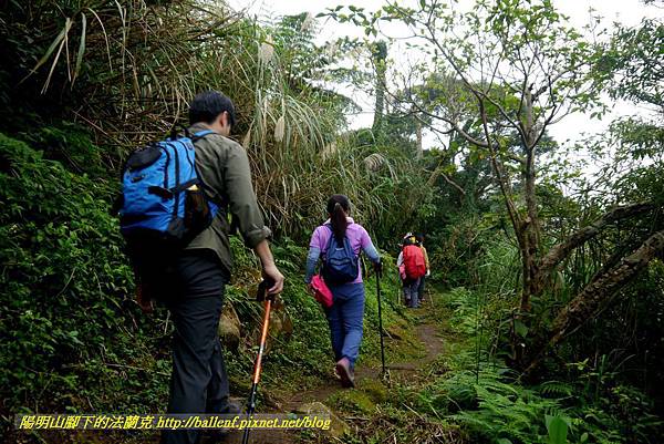 P1880688.jpg P1880688.jpg