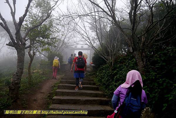 P1880697.jpg P1880697.jpg