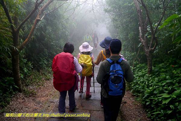 P1880708.jpg P1880708.jpg