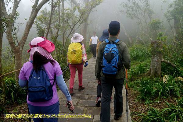 P1880717.jpg P1880717.jpg