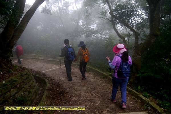 P1880719.jpg P1880719.jpg