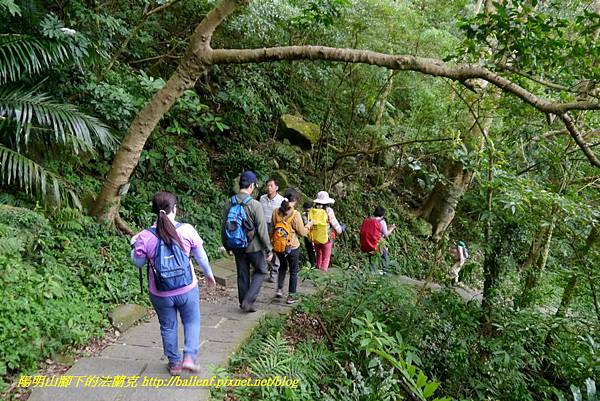 P1880728.jpg P1880728.jpg