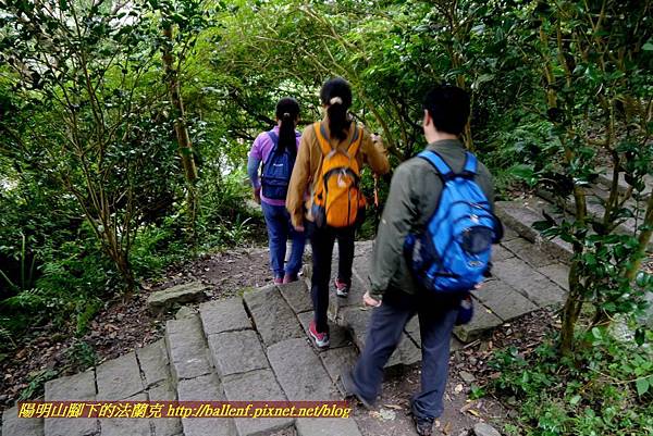 P1880734.jpg P1880734.jpg