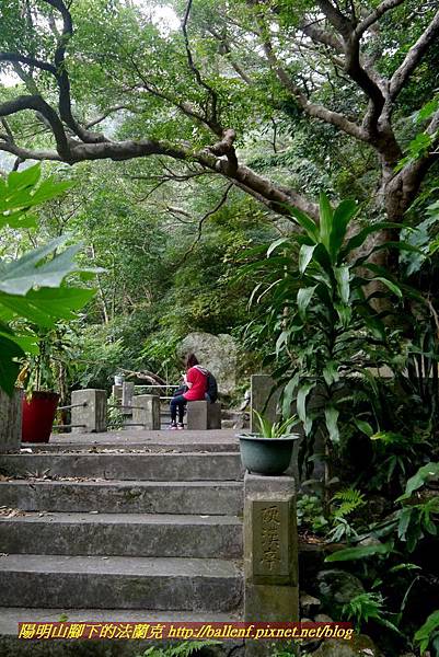 P1880735.jpg P1880735.jpg