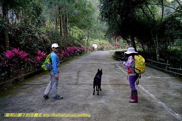 P1880758.jpg P1880758.jpg