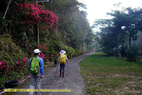 P1880759.jpg P1880759.jpg