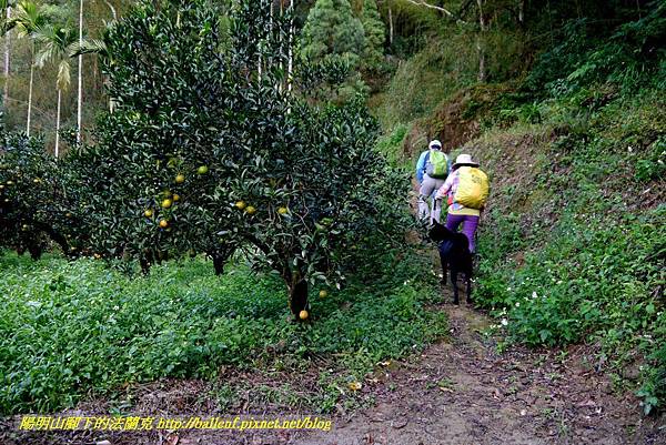 P1880769.jpg P1880769.jpg