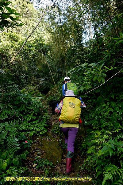 P1880771.jpg P1880771.jpg