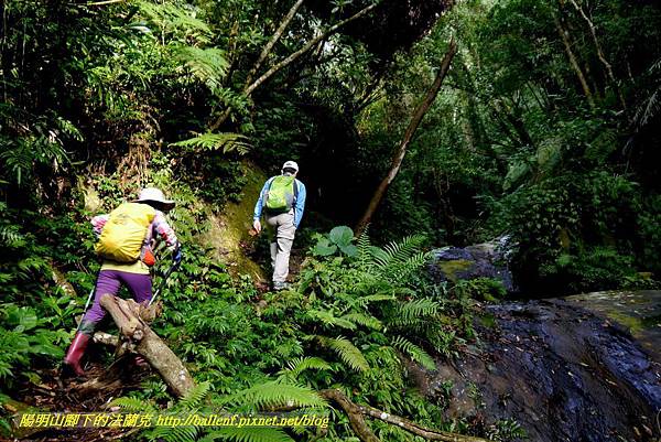 P1880776.jpg P1880776.jpg