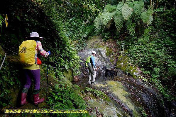 P1880778.jpg P1880778.jpg