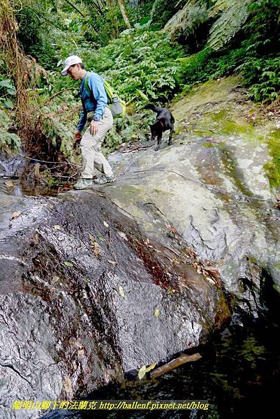 P1880779.jpg P1880779.jpg