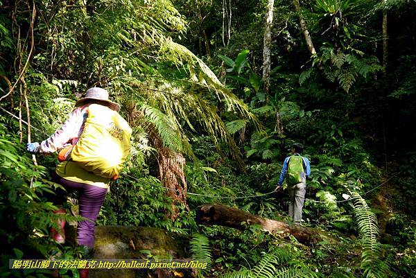 P1880784.jpg P1880784.jpg