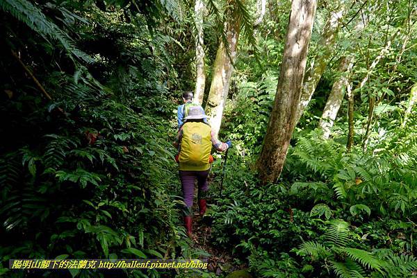 P1880782.jpg P1880782.jpg