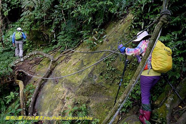 P1880789.jpg P1880789.jpg