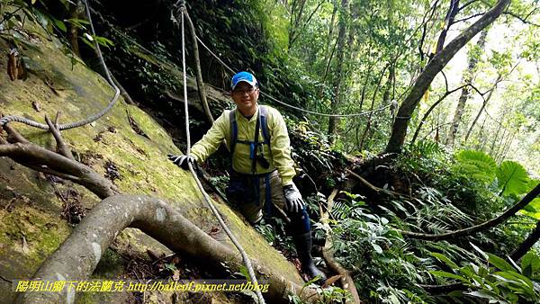 P1880790-1.jpg P1880790-1.jpg