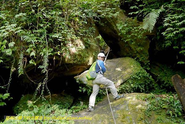 P1880796.jpg P1880796.jpg