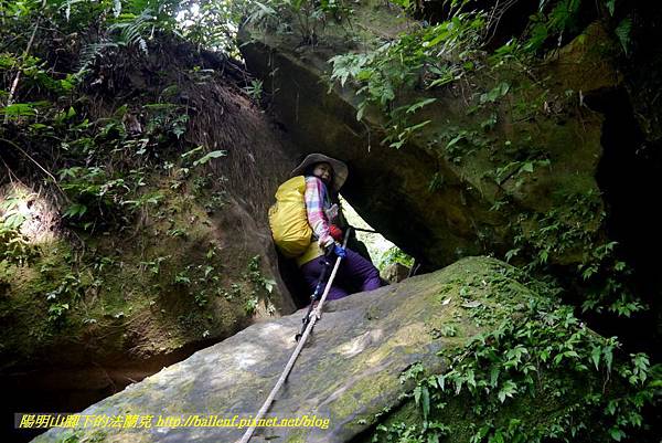 P1880799.jpg P1880799.jpg