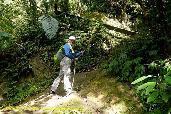 P1880803.jpg P1880803.jpg