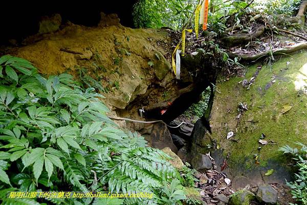 P1880802.jpg P1880802.jpg